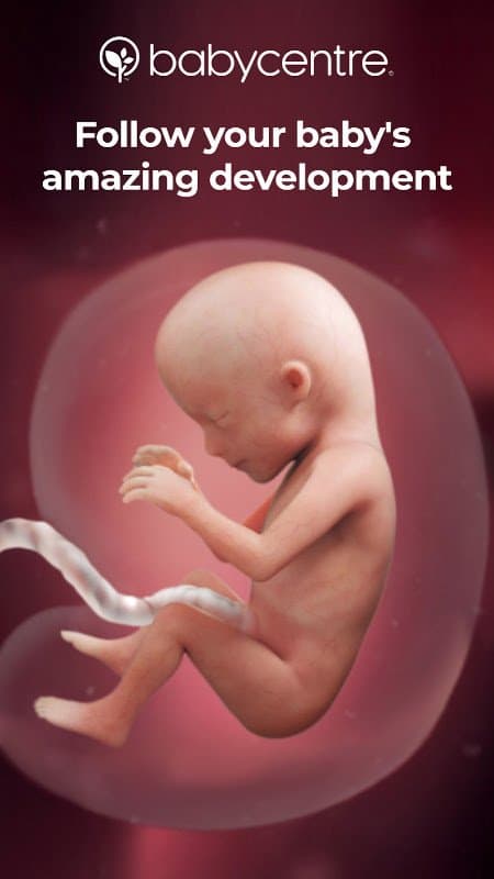 Pregnancy App & Baby Tracker — Screenshot 1