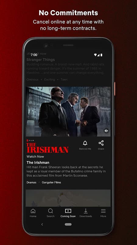 Netflix — Screenshot 2