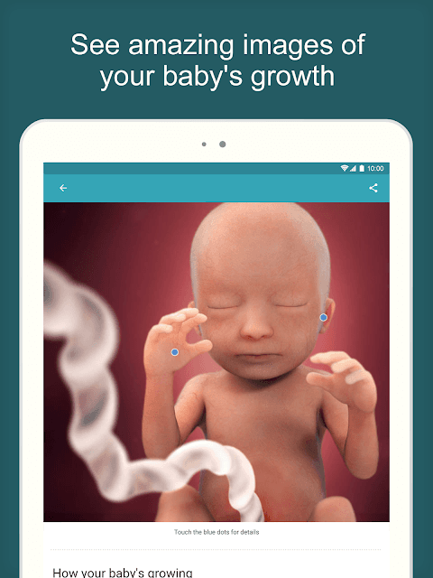 Pregnancy App & Baby Tracker — Screenshot 10